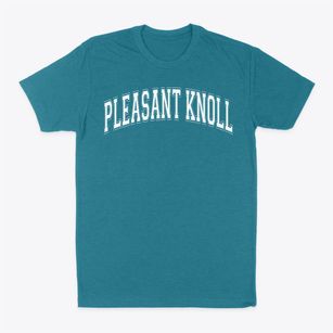 Pleasant Knoll Elementary School Varsity Arch Classic Dad T-Shirt