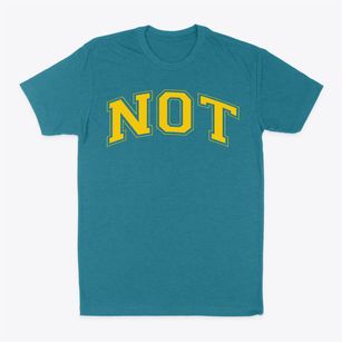 Not Your Ordinary School Varsity Arch Classic Dad T-Shirt