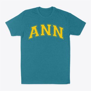 Ann Elementary School Varsity Arch Classic Dad T-Shirt