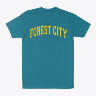 Forest City Elementary School Varsity Arch Classic Dad T-Shirt