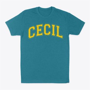 Cecil Intermediate School Varsity Arch Classic Dad T-Shirt