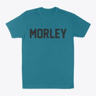 Morley Michigan Classic Block Classic Dad T-Shirt