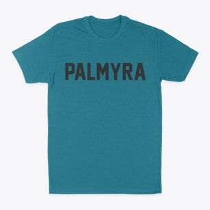 Palmyra Virginia Classic Block Classic Dad T-Shirt