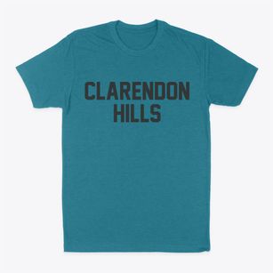 Clarendon Hills Illinois Classic Block Classic Dad T-Shirt