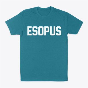 Esopus New York Classic Block Classic Dad T-Shirt