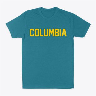 Columbia Virginia Classic Block Classic Dad T-Shirt