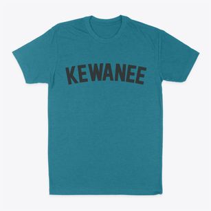 Kewanee Illinois Classic Curve Classic Dad T-Shirt