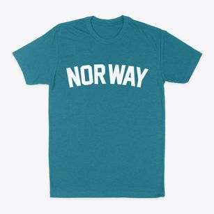 Norway Maine Classic Curve Classic Dad T-Shirt