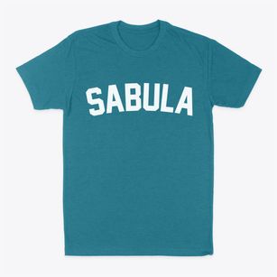 Sabula Iowa Classic Curve Classic Dad T-Shirt