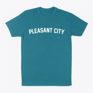 Pleasant City Ohio Classic Curve Classic Dad T-Shirt