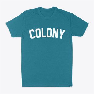 Colony Alabama Classic Curve Classic Dad T-Shirt