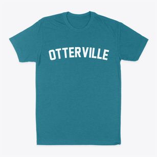 Otterville Illinois Classic Curve Classic Dad T-Shirt