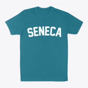 Seneca Nebraska Classic Curve Classic Dad T-Shirt
