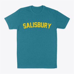 Salisbury New York Classic Curve Classic Dad T-Shirt