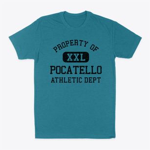 Pocatello Idaho Athletic Dept Classic Dad T-Shirt