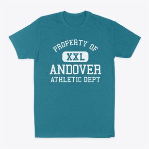Andover Ohio Athletic Dept Classic Dad T-Shirt