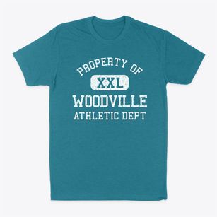 Woodville Alabama Athletic Dept Classic Dad T-Shirt