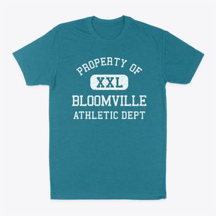 Bloomville New York Athletic Dept Classic Dad T-Shirt