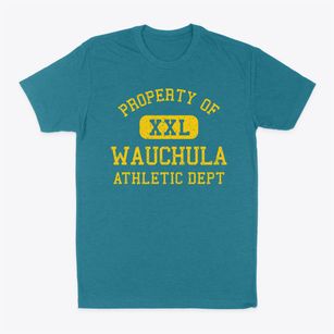 Wauchula Florida Athletic Dept Classic Dad T-Shirt