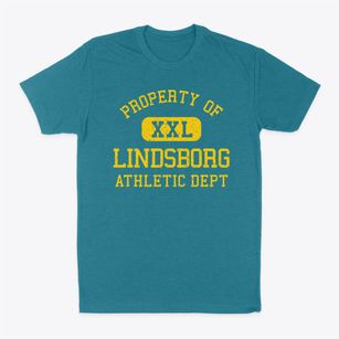 Lindsborg Kansas Athletic Dept Classic Dad T-Shirt