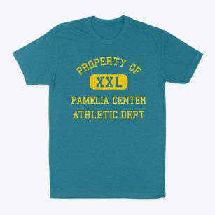Pamelia Center New York Athletic Dept Classic Dad T-Shirt