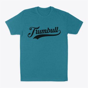 Trumbull Connecticut Vintage Team Classic Dad T-Shirt