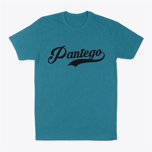 Pantego North Carolina Vintage Team Classic Dad T-Shirt