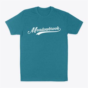 Meadowbrook Alabama Vintage Team Classic Dad T-Shirt
