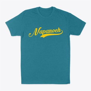 Napanoch New York Vintage Team Classic Dad T-Shirt