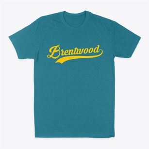 Brentwood Missouri Vintage Team Classic Dad T-Shirt