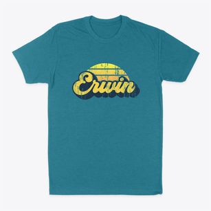 Erwin New York Sublime Sunset Classic Dad T-Shirt