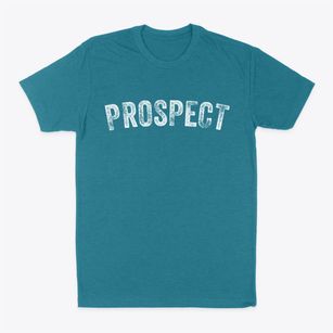 Prospect Maine Timeless Retro Classic Dad T-Shirt