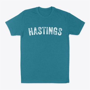 Hastings Florida Timeless Retro Classic Dad T-Shirt