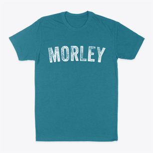 Morley Michigan Timeless Retro Classic Dad T-Shirt