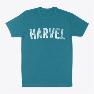 Harvel Illinois Timeless Retro Classic Dad T-Shirt