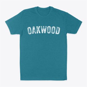 Oakwood Ohio Timeless Retro Classic Dad T-Shirt