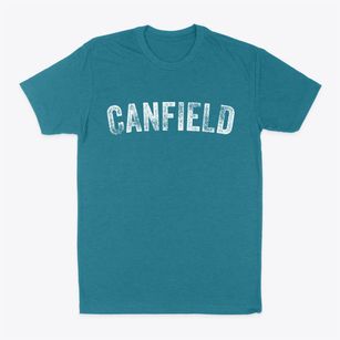 Canfield Ohio Timeless Retro Classic Dad T-Shirt