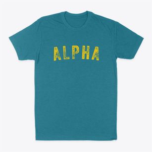 Alpha Illinois Timeless Retro Classic Dad T-Shirt