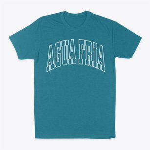 Agua Fria New Mexico Trendy Block Classic Dad T-Shirt
