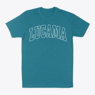 Lucama North Carolina Trendy Block Classic Dad T-Shirt