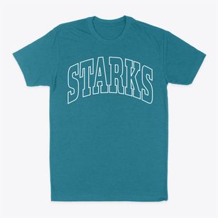 Starks Maine Trendy Block Classic Dad T-Shirt