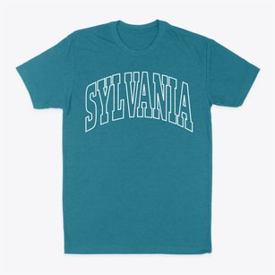 Sylvania Ohio Trendy Block Classic Dad T-Shirt