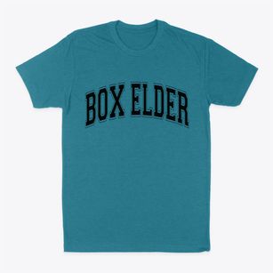 Box Elder South Dakota Varsity Classic Dad T-Shirt