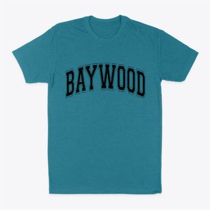 Baywood New York Varsity Classic Dad T-Shirt