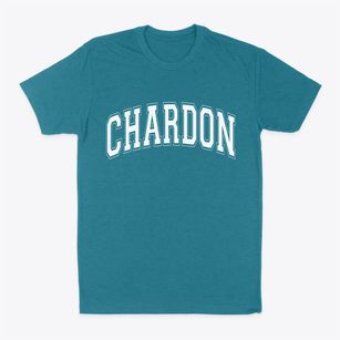 Chardon Ohio Varsity Classic Dad T-Shirt