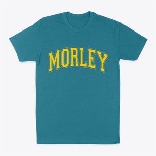 Morley Michigan Varsity Classic Dad T-Shirt