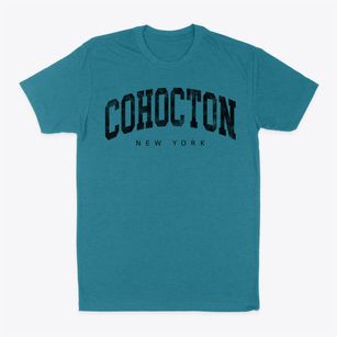 Cohocton New York Urban Vibe Classic Dad T-Shirt