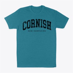 Cornish New Hampshire Urban Vibe Classic Dad T-Shirt
