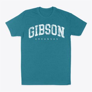 Gibson Arkansas Urban Vibe Classic Dad T-Shirt