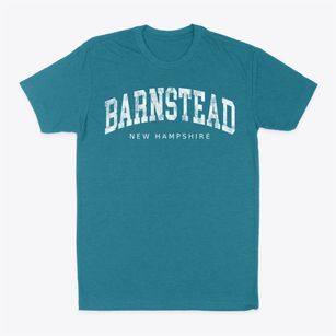 Barnstead New Hampshire Urban Vibe Classic Dad T-Shirt